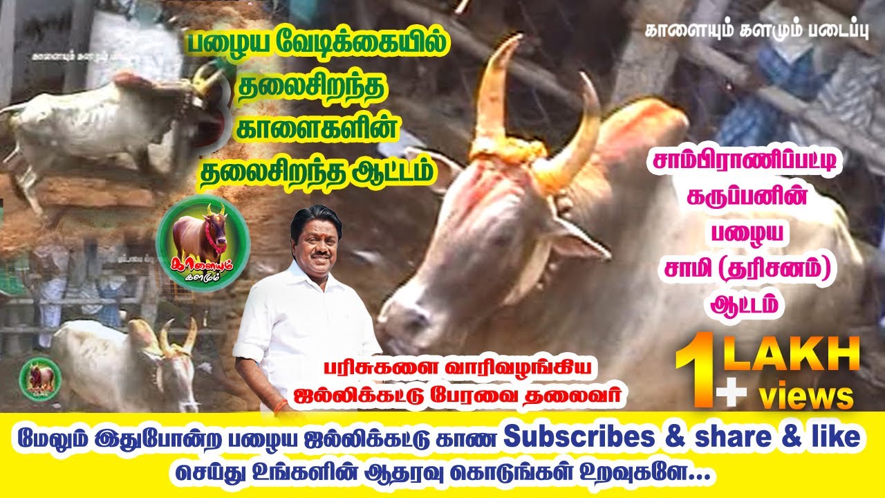 பழைய வேடிக்கையில் 3 சிறந்த காளைகளின் ஆட்டம்/ 