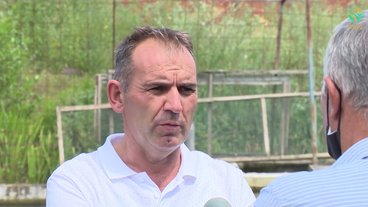 BUJKU 2020-kultivimi i Troftës së Kalifornisë në Poslisht, afër Prizrenit, investim nga diaspora