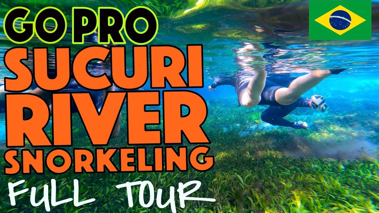 GOPRO SUCURI RIVER SNORKELING TOUR #bonito #sucuri #gopro