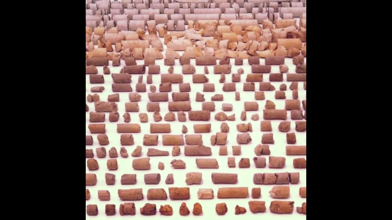 The Azmaris  - It Could Be