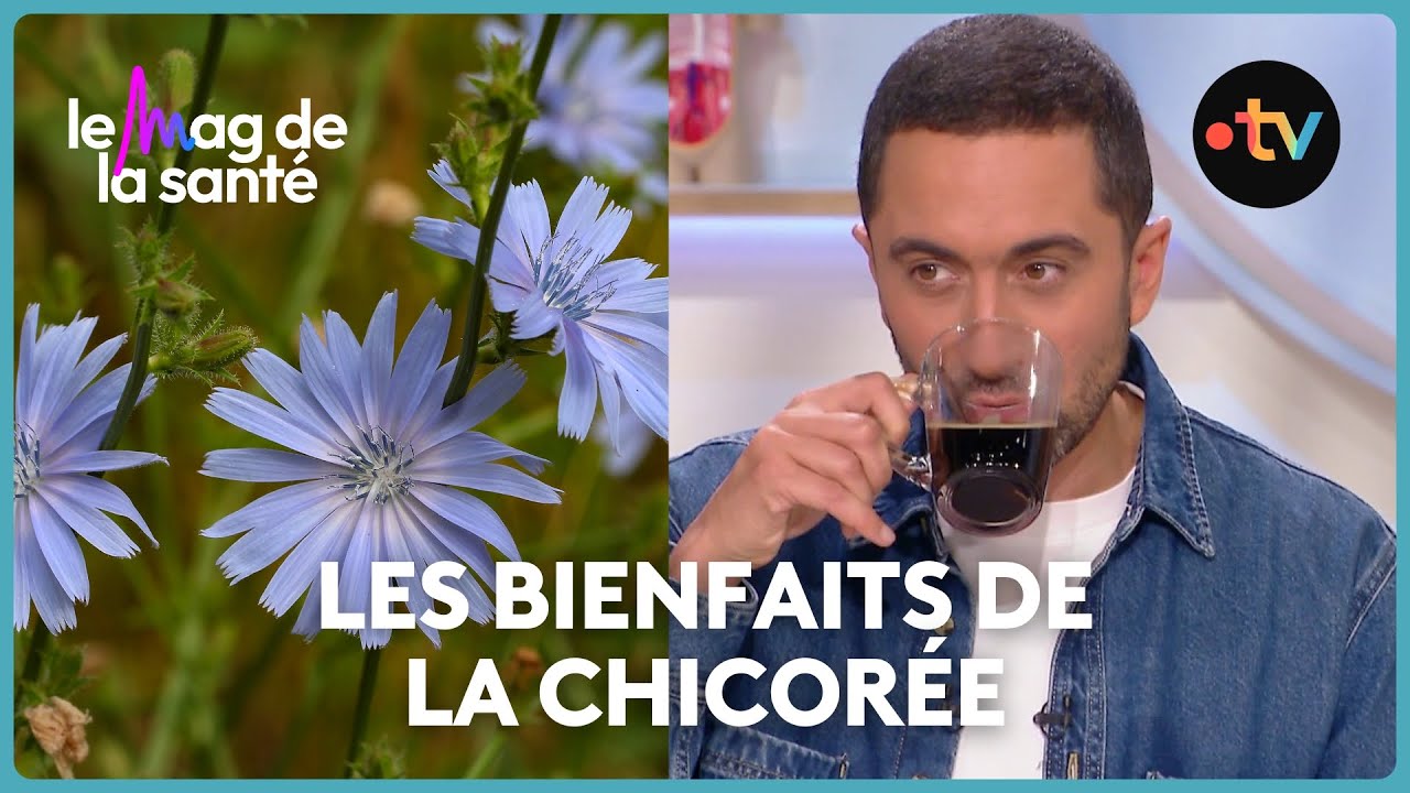 La chicorée est-elle une bonne alternative au café ?