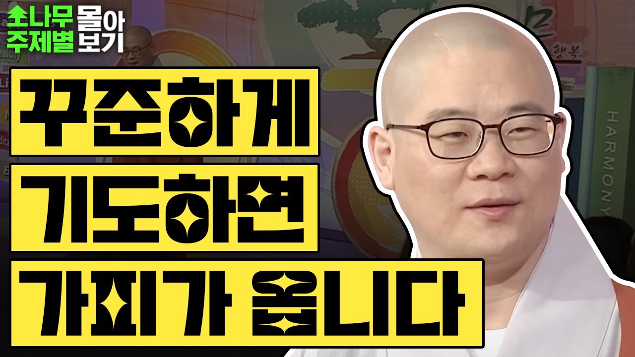 꾸준하게 기도하면 가피가 옵니다🙏🏻  [광우스님 소나무 주제별 몰아보기]