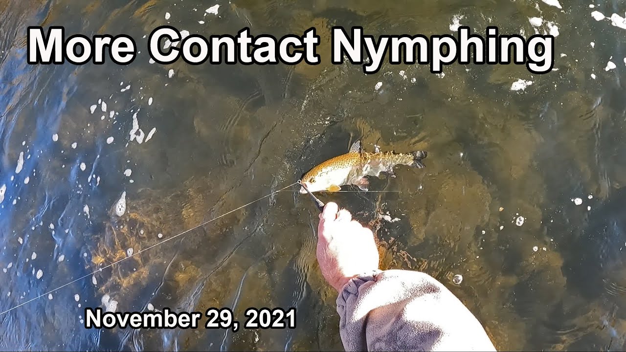 273. More Contact Nymphing - November 29, 2021