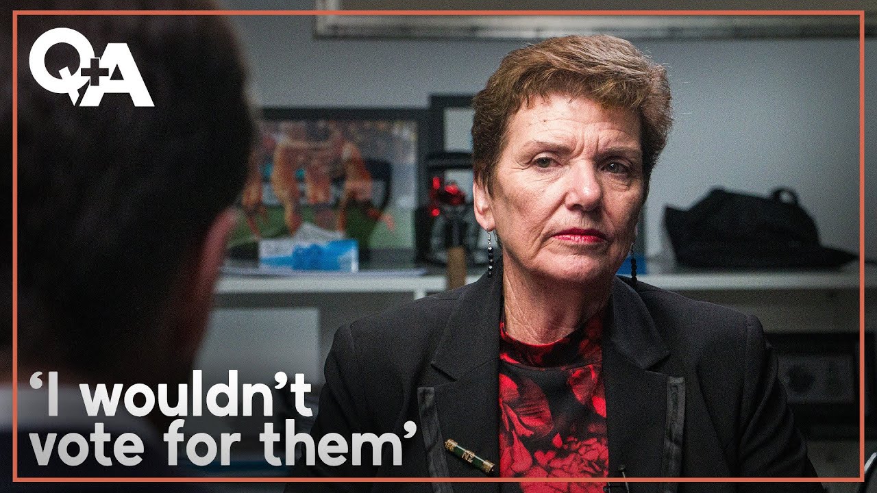 Why Anne Tolley wants new faces on Tauranga's next council | Q+A 2024