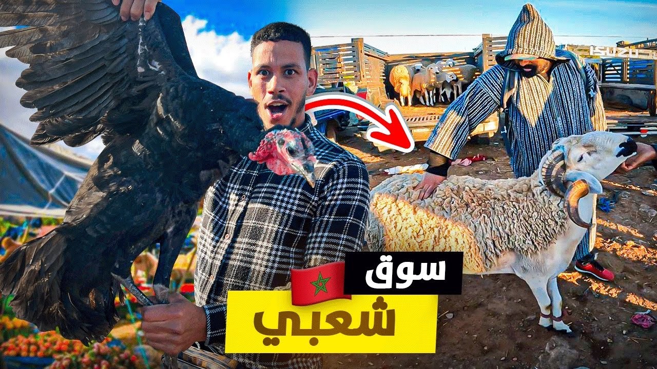 الأسواق الشعبية المغربية لها طابع خاص بالمغرب 🇲🇦ألذ شواية في السوق الشعبي أربعاء😋قمة البساطة 🕊️