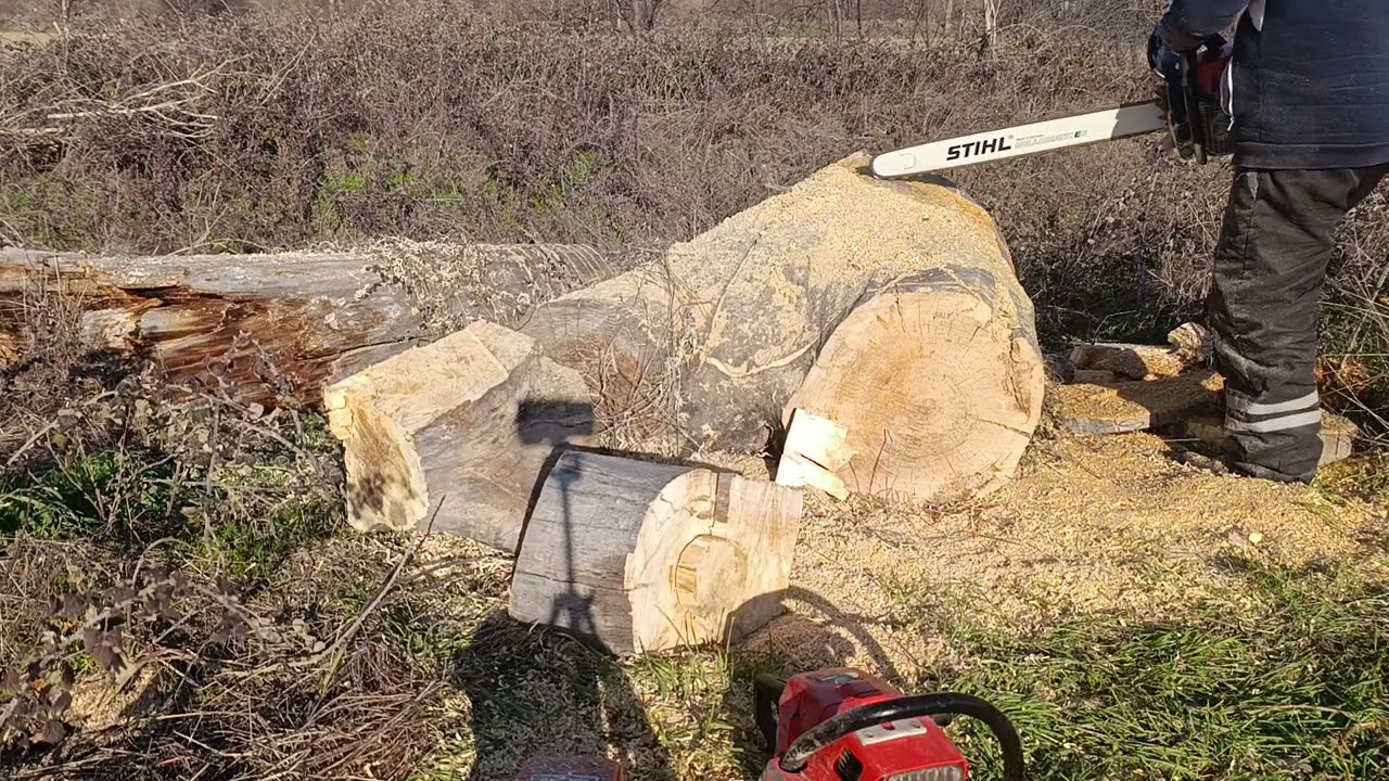 STIHL 064AV