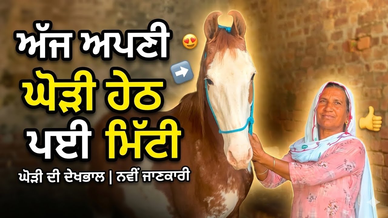 ਅੱਜ ਅਪਣੀ ਘੋੜੀ ਹੇਠ ਮਿੱਟੀ ਪਾਈ।