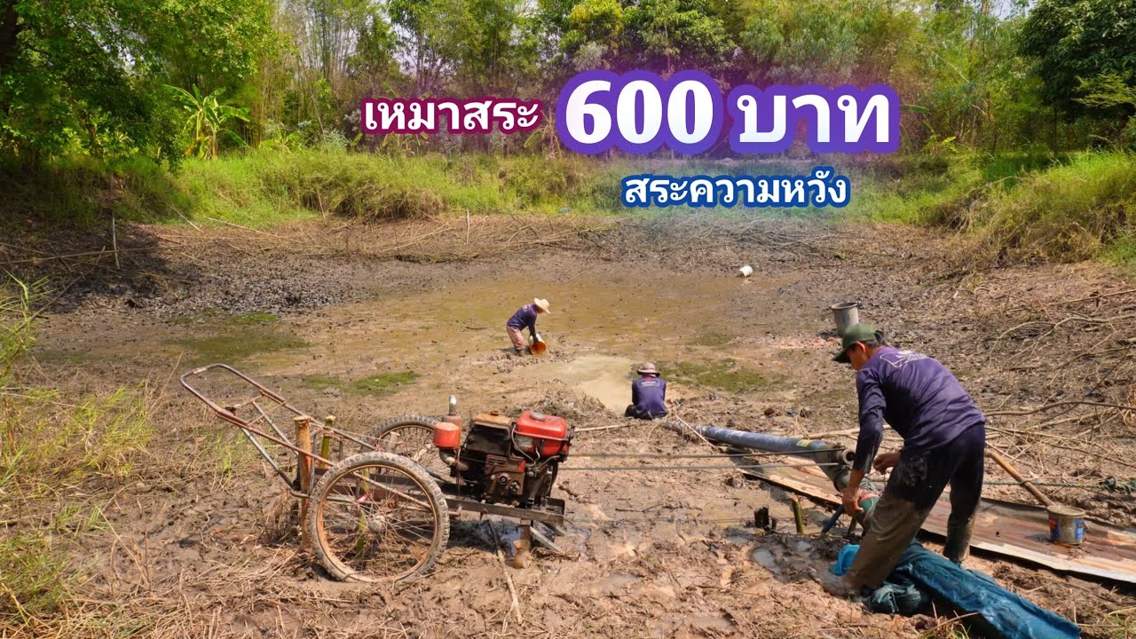 เหมาสระ 600 บาท สระความหวังกลางป่า มันต้องมารวมกันตรงนี้เเน่ / บ้านนอก EP.880