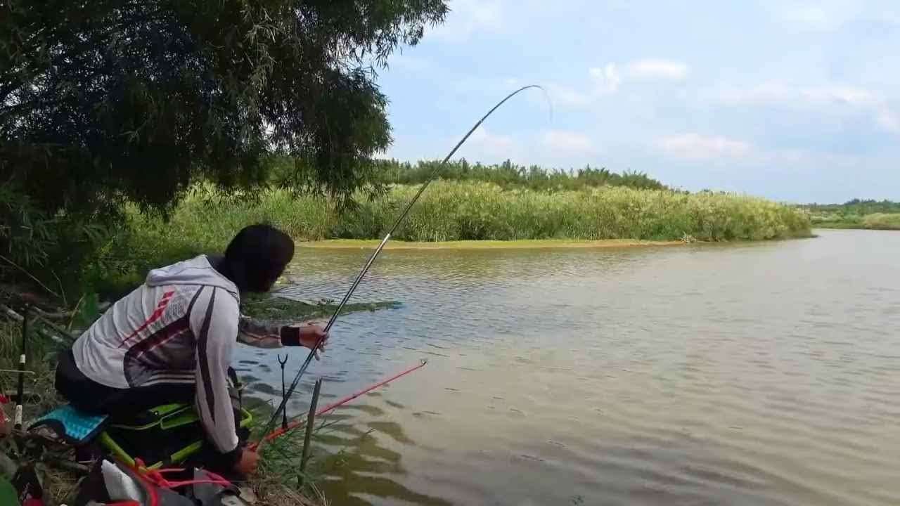 用兩千塊的竿子去釣魚，魚情居然這麼暴躁，魚護都提不動了！ 【野釣長空】