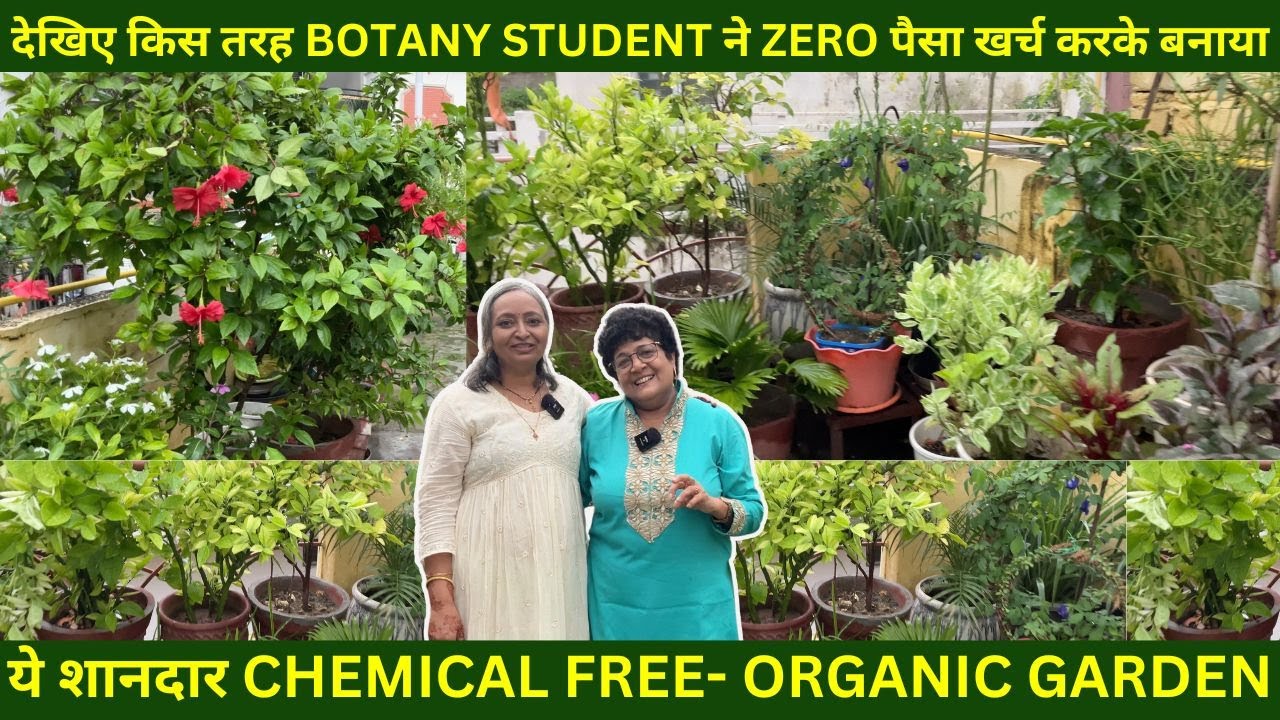 देखिए किस तरह BOTANY STUDENT ने ZERO पैसा खर्च करके बनाया ये शानदार CHEMICAL FREE- ORGANIC GARDEN