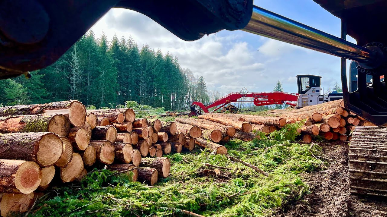 How To Bunch For A Shovel Tutorial - First Find A Beautiful Piece Of Oregon Timber Land Like This...