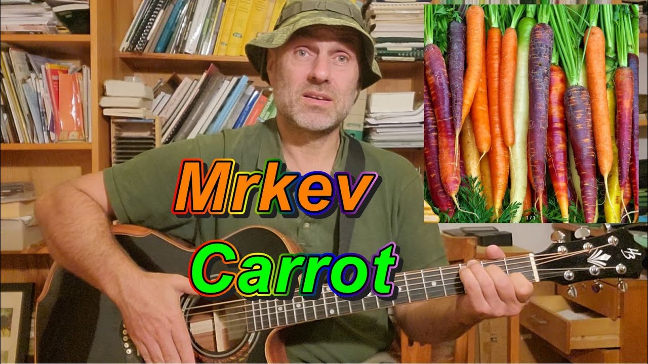 Michal Hejcman - Mrkev obecn&aacute; (Daucus carota)