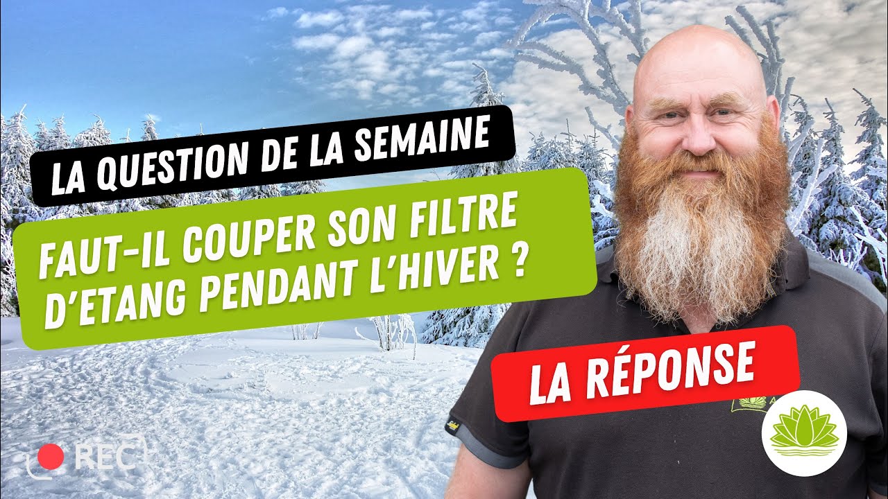 Faut-il éteindre son système de filtration d'étang en hiver? Nicolas vous répond dans cette vidéo.