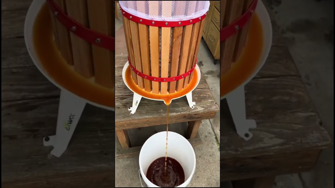 Apple wine making 🍷 #winemaking
