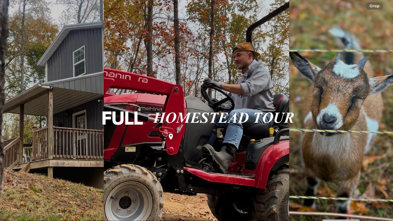 FULL HOMESTEAD TOUR + UPDATES!