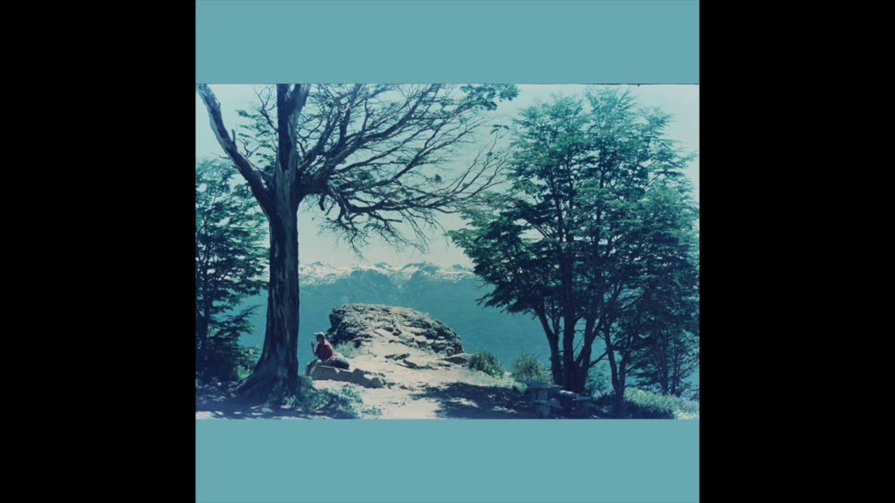 Forestar - Infinito Punto Rojo