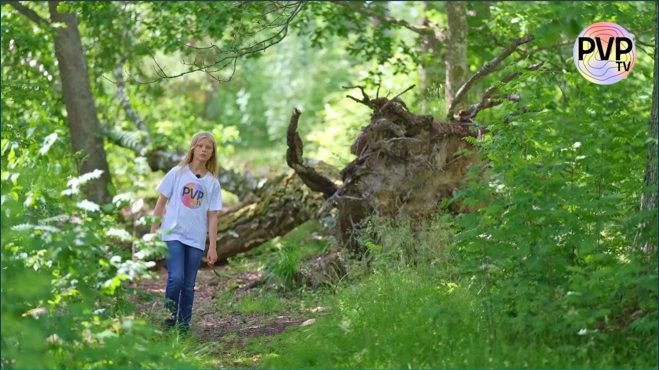 En medeltida borg - På varje plats
