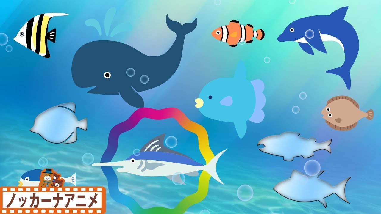 水の音が癒やされる 海のいきもの パズル★子供向けアニメ★赤ちゃんが喜ぶ遊び★Sea creatures puzzle animation for kids