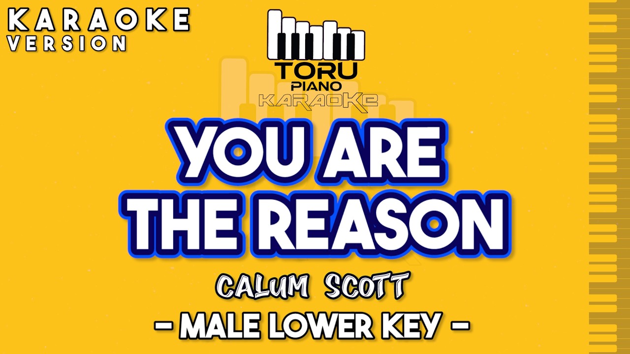 YOU ARE THE REASON CALUM SCOTT KARAOKE PIANO MALE LOWER KEY