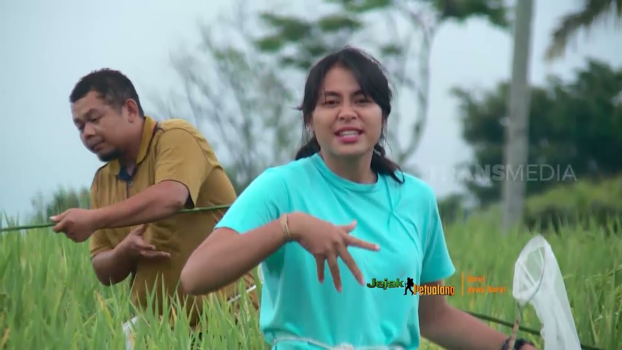 Finda Andrian Berburu Walang Sangit | JEJAK PETUALANG (14/08/21)