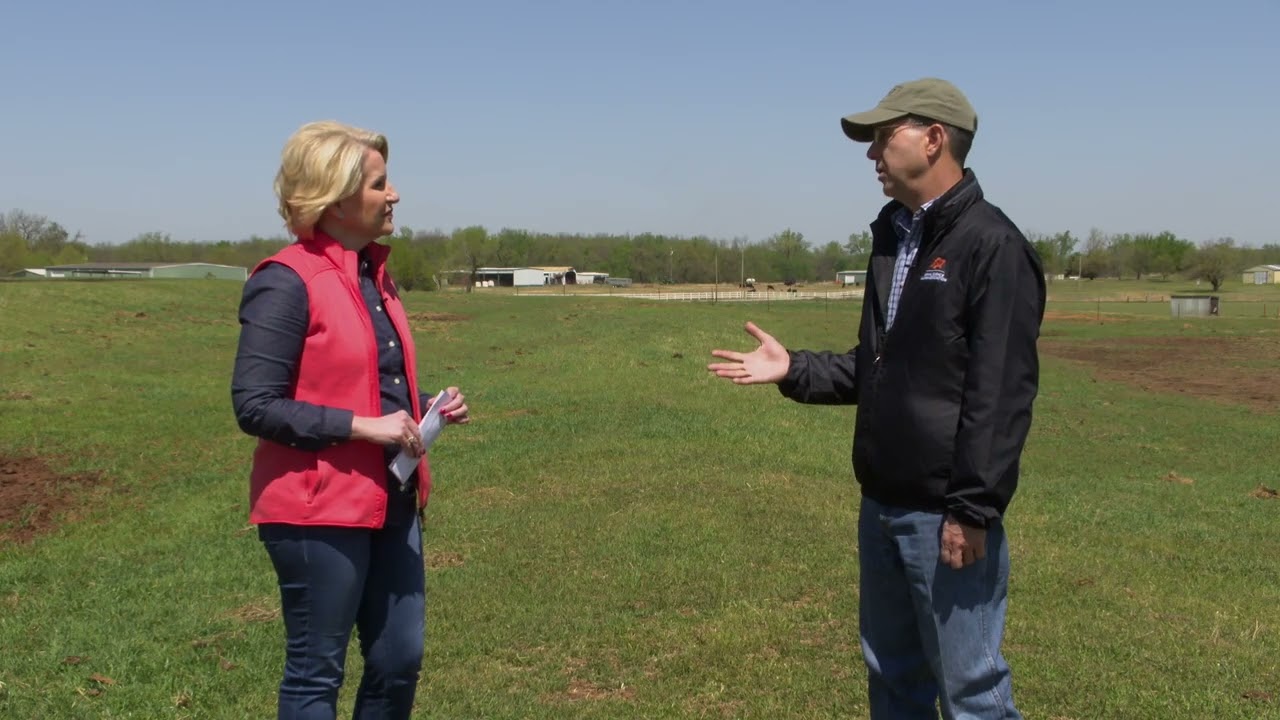 Tough Cattle Decision During Drought
