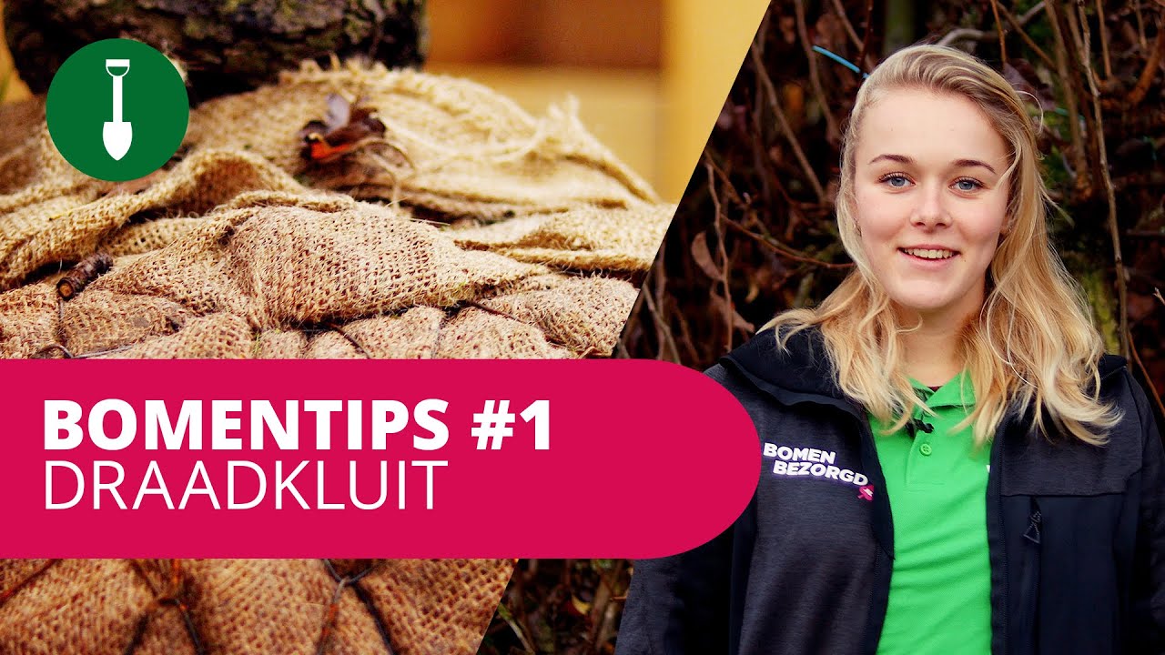 BOMENTIPS #1 | Draadkluit