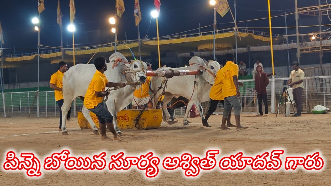 చిలకలూరిపేట న్యూ కేటగిరి 10వ పిన్నే పోయిన. సూర్య అశ్విత్ యాదవ్ గారు రెంటాల గ్రామం పల్నాడు జిల్లా 