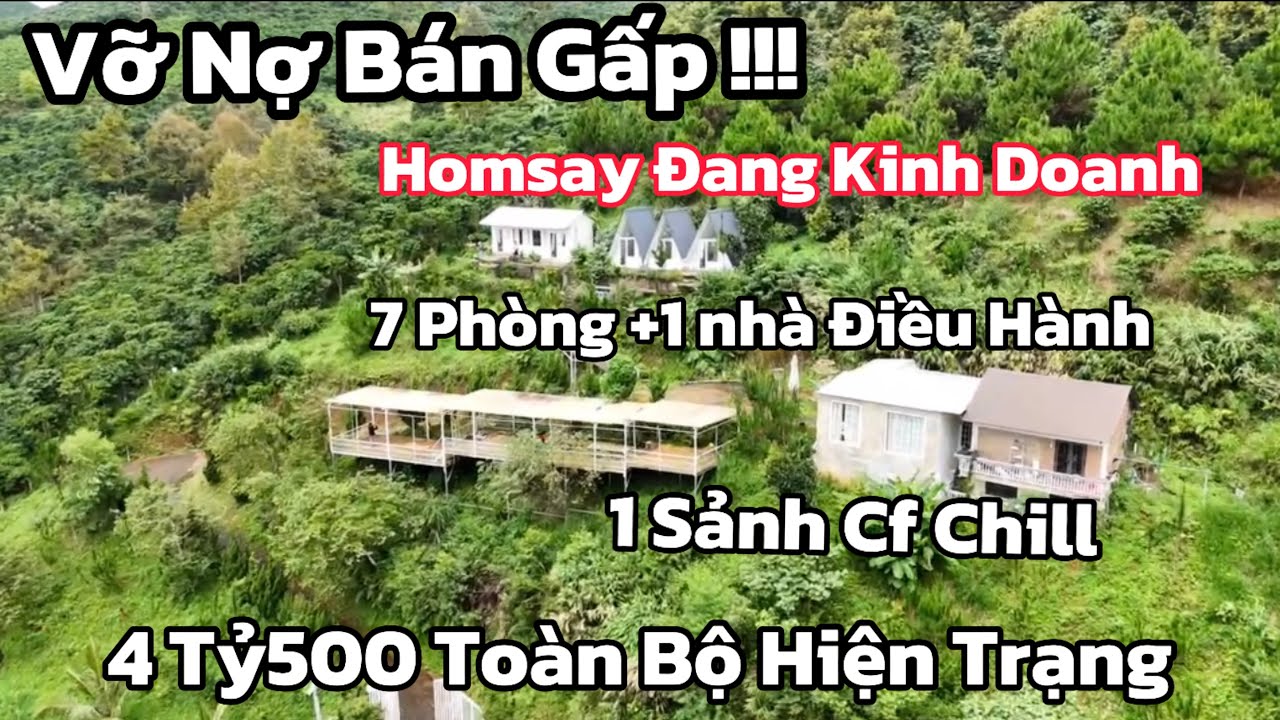 	😱Chỉ 4.5 TỶ sở hữu NGAY 9 căn HOMESTAY + SỔ HỒNG riêng tại TP. BẢO LỘC – ĐÃ SẴN KHAI THÁC