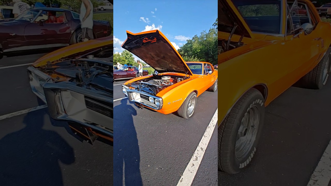 1967 Pontiac Firebird!