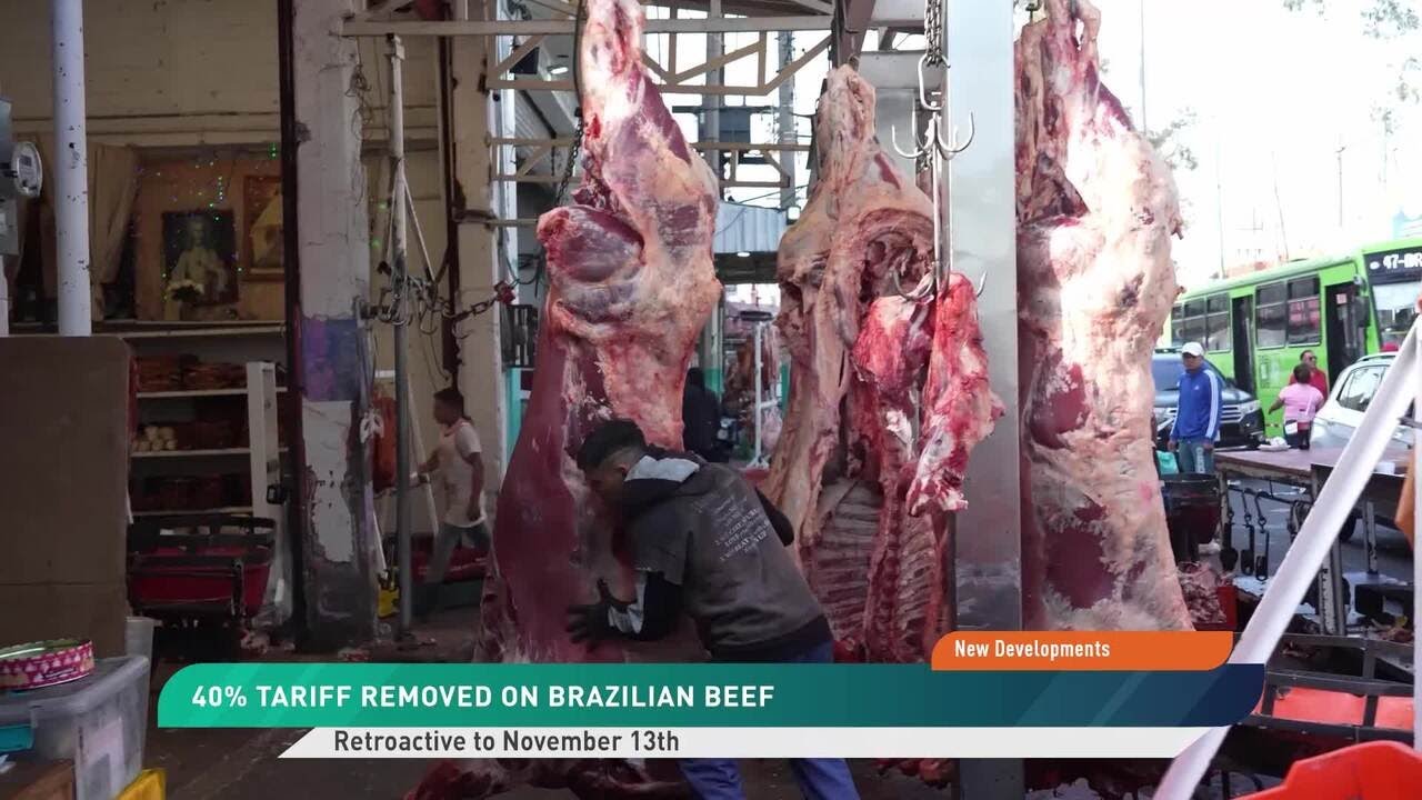 President Trump Cuts Tariffs on Brazilian Beef