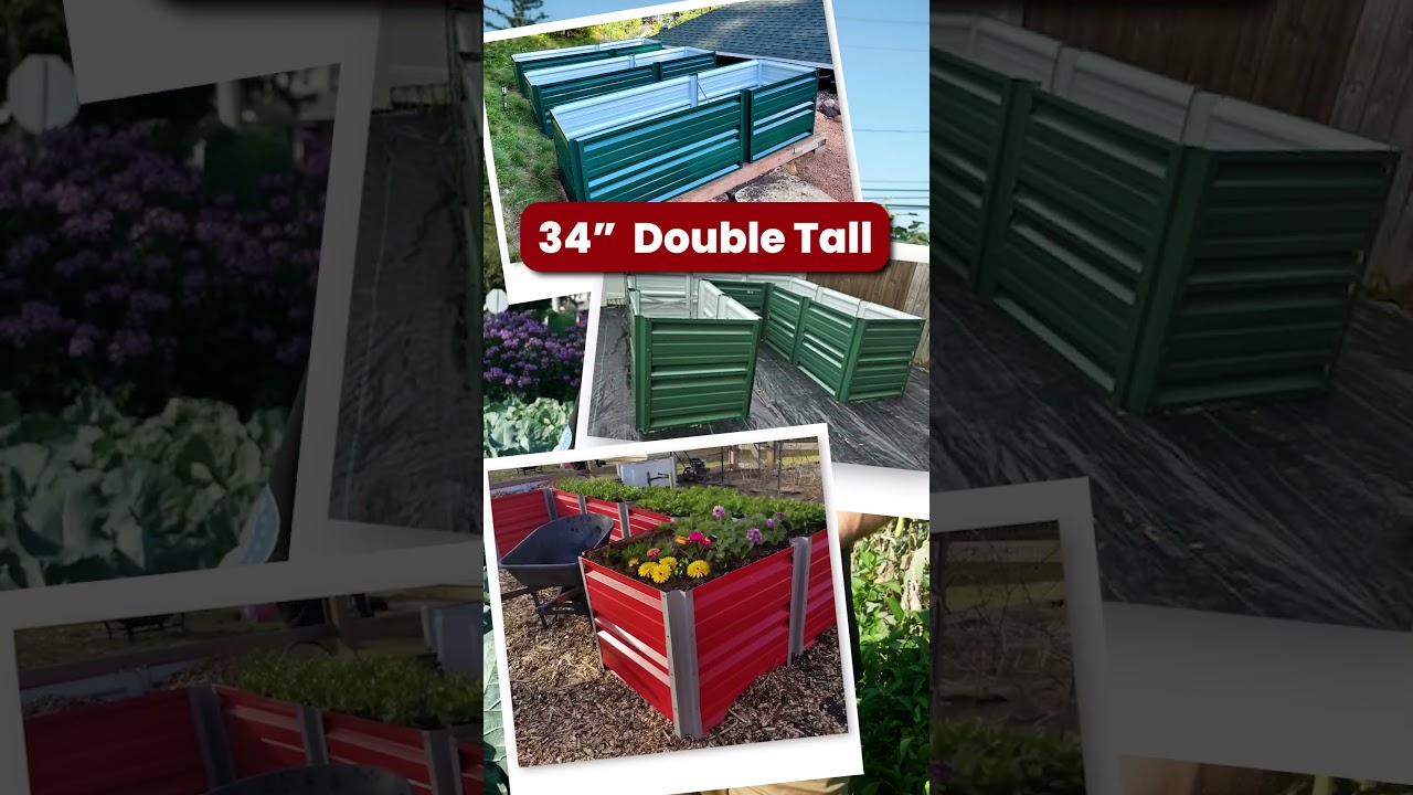 Rabbit-proof your garden with this! 🥕