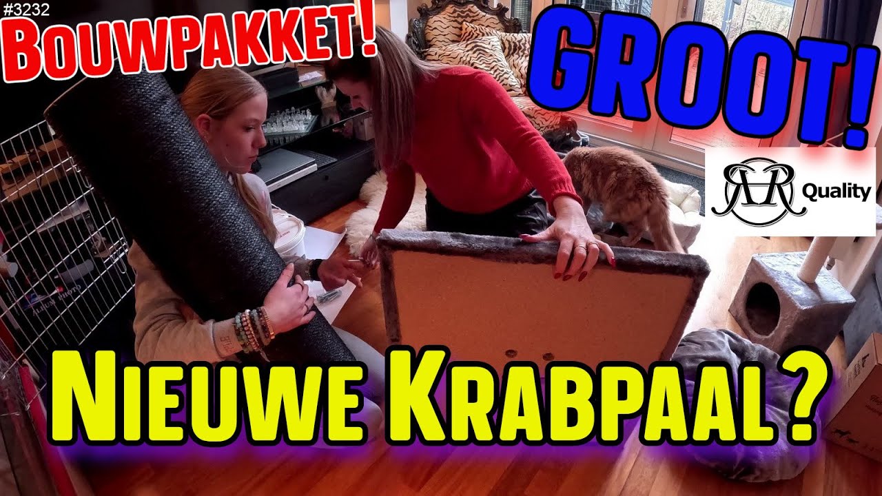 Wat vinden jullie van DEZE KRABPAAL. Lijkt wel een 1 persoonsbed. GEKKEHUIS bij mij THUIS!  #3232