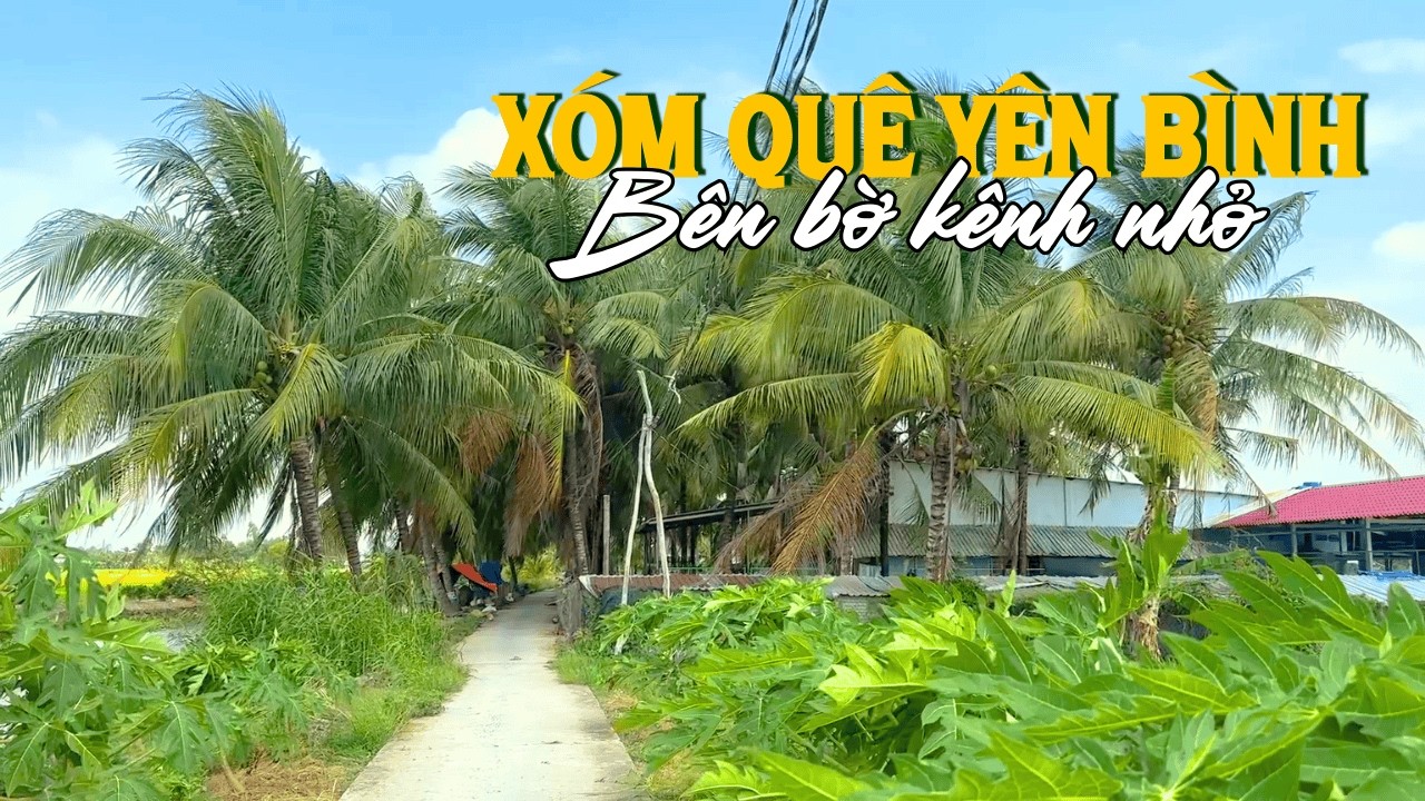 Ký ức miền Tây: Cảnh quê nao lòng người xa xứ - cầu khỉ, hàng dừa xanh, bầy vịt lội