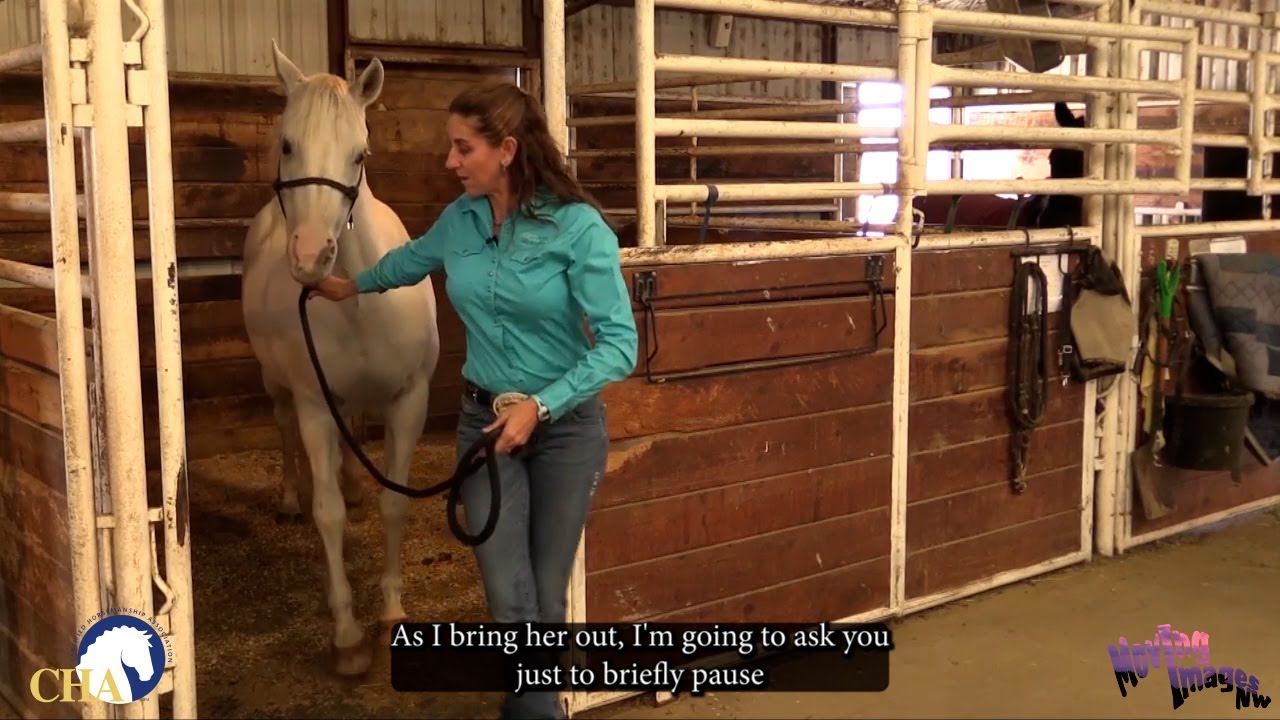 Catching the Horse in a Stall with Teresa Kackart