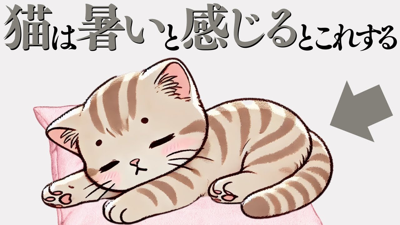 【猫が暑い時にする行動】 猫の雑学 
