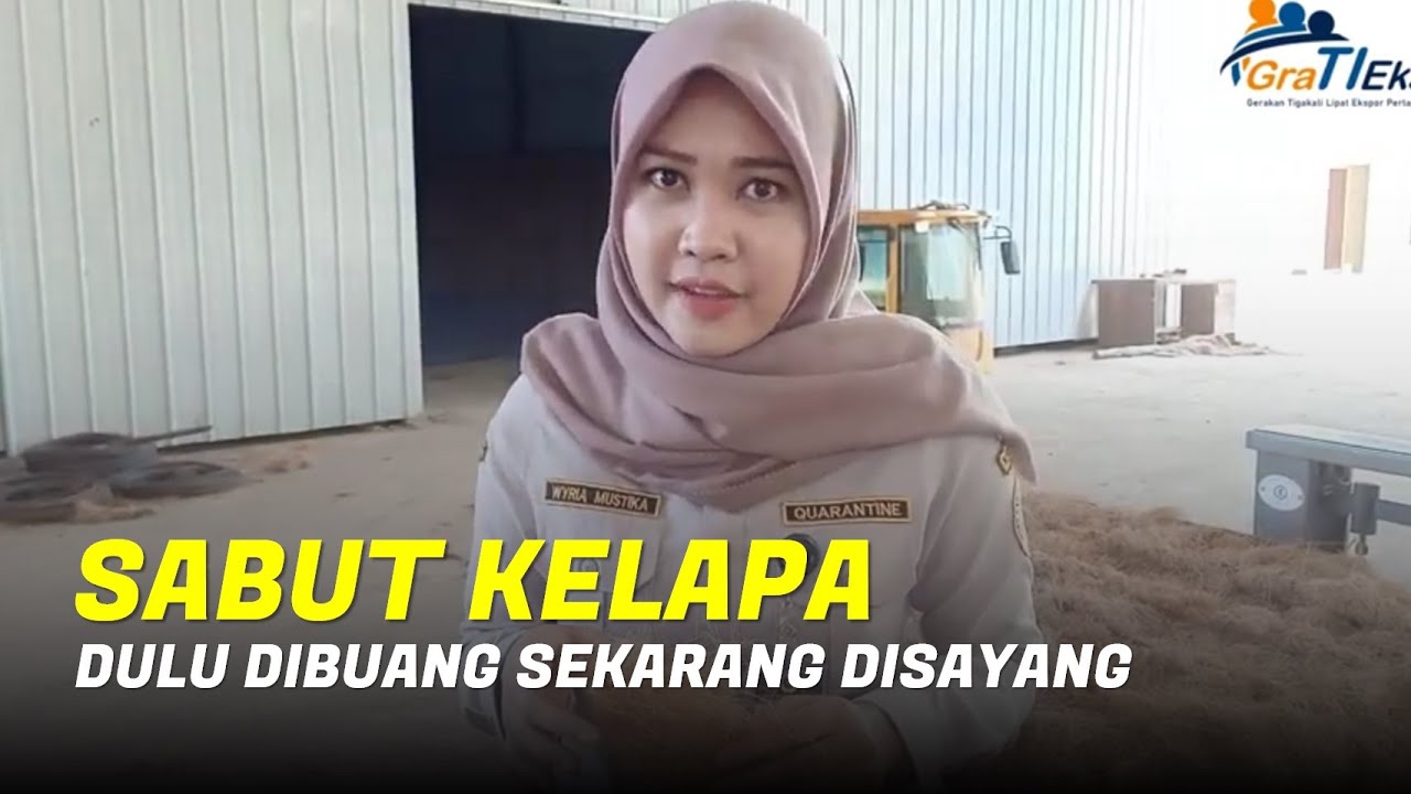 SABUT KELAPA, KINI BERNILAI EKSPOR | Karantina Pertanian Kendari