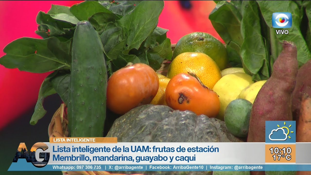Columna- Lista Inteligente de la UAM / Ing. Agr. Pablo Pacheco