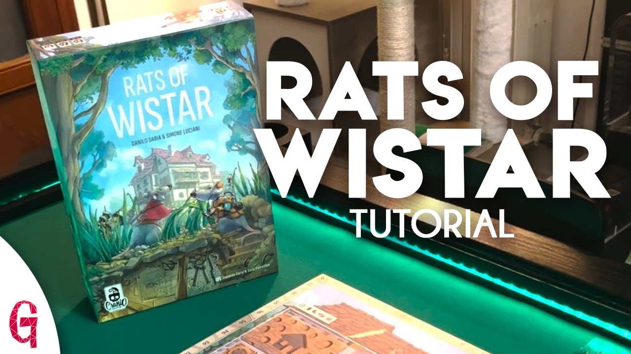 Ratti di Wistar: il GIOCO IN SCATOLA dei topini intelligenti che conquistano 