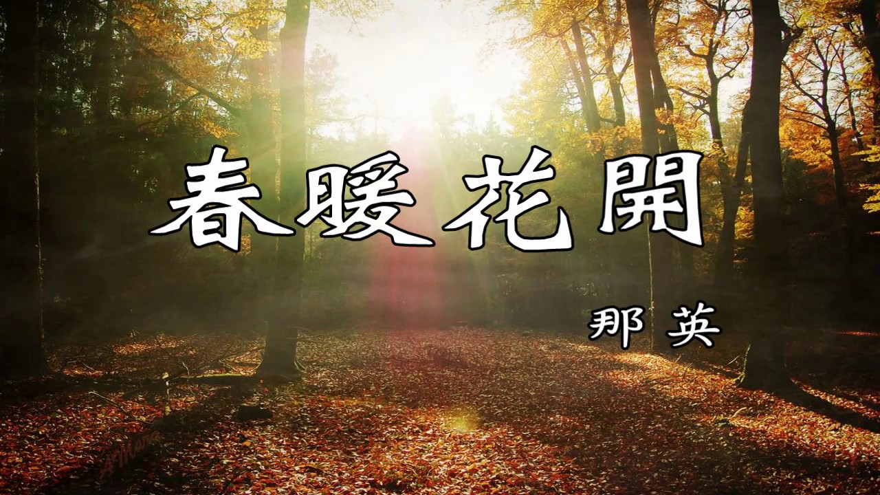 春暖花開-那英(歌詞版)