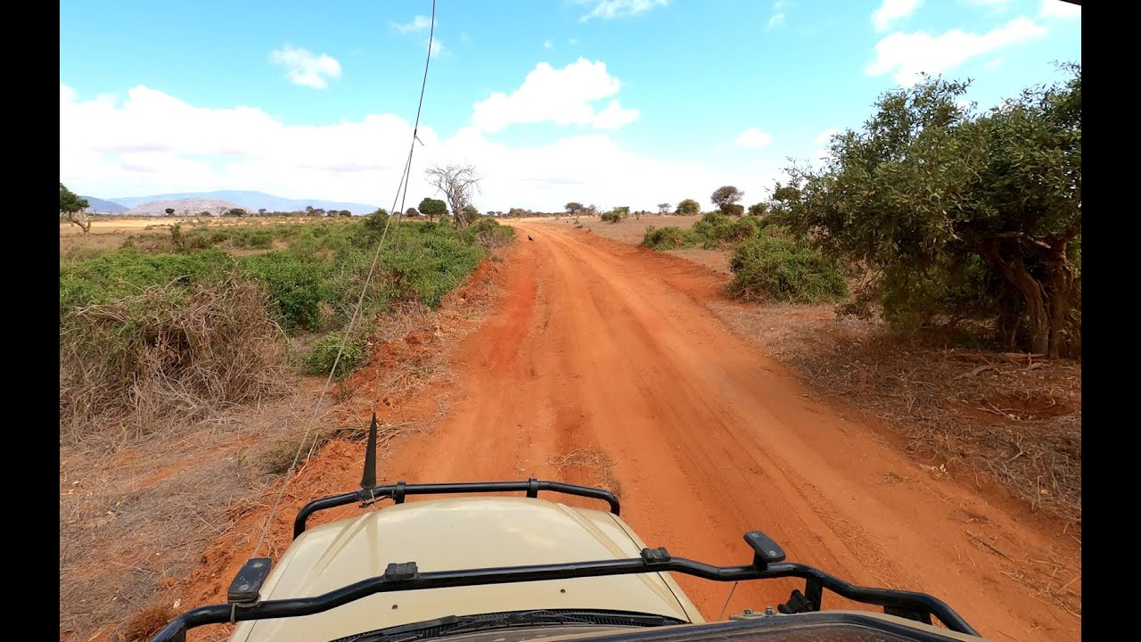 Kenya Safari Tsavo Est + Taita Hills Wildlife