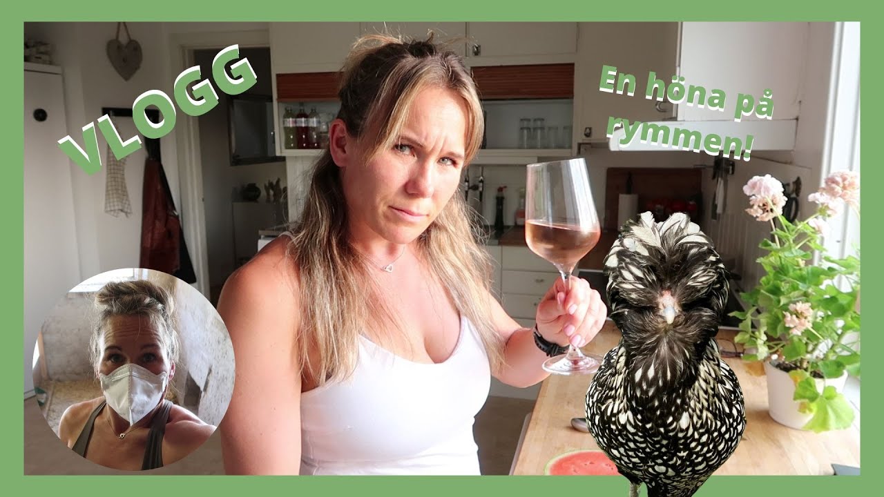 Storstädar Hönshuset! | VLOGG