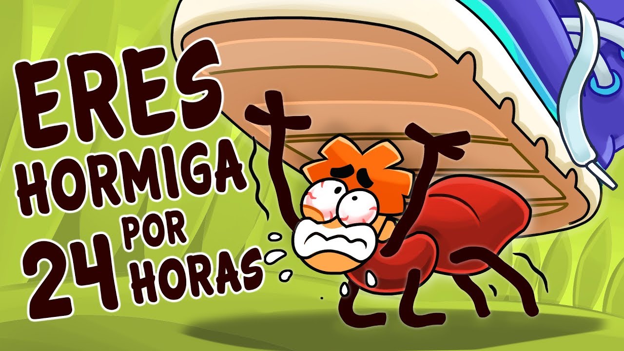 ¿Qué Pasa Si Te Conviertes En Una Hormiga Durante 24 Horas?