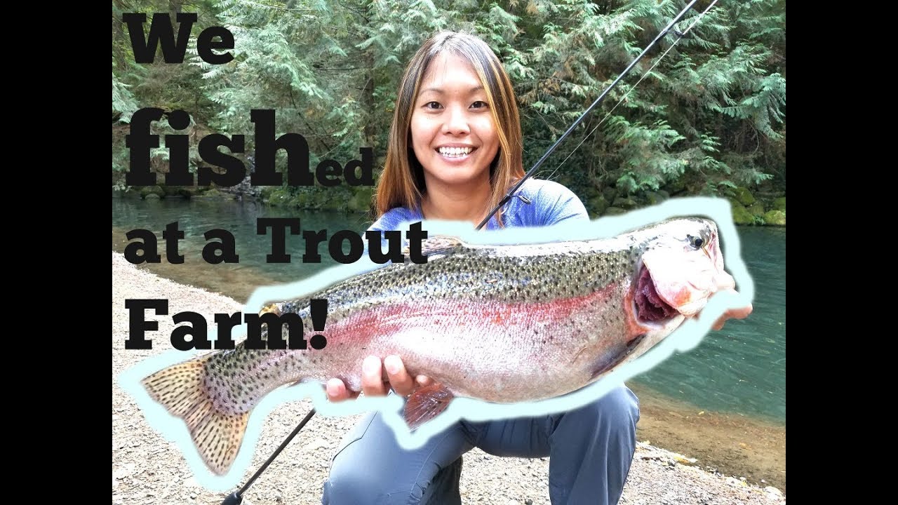 We Fished at a RAINBOW TROUT FARM - 