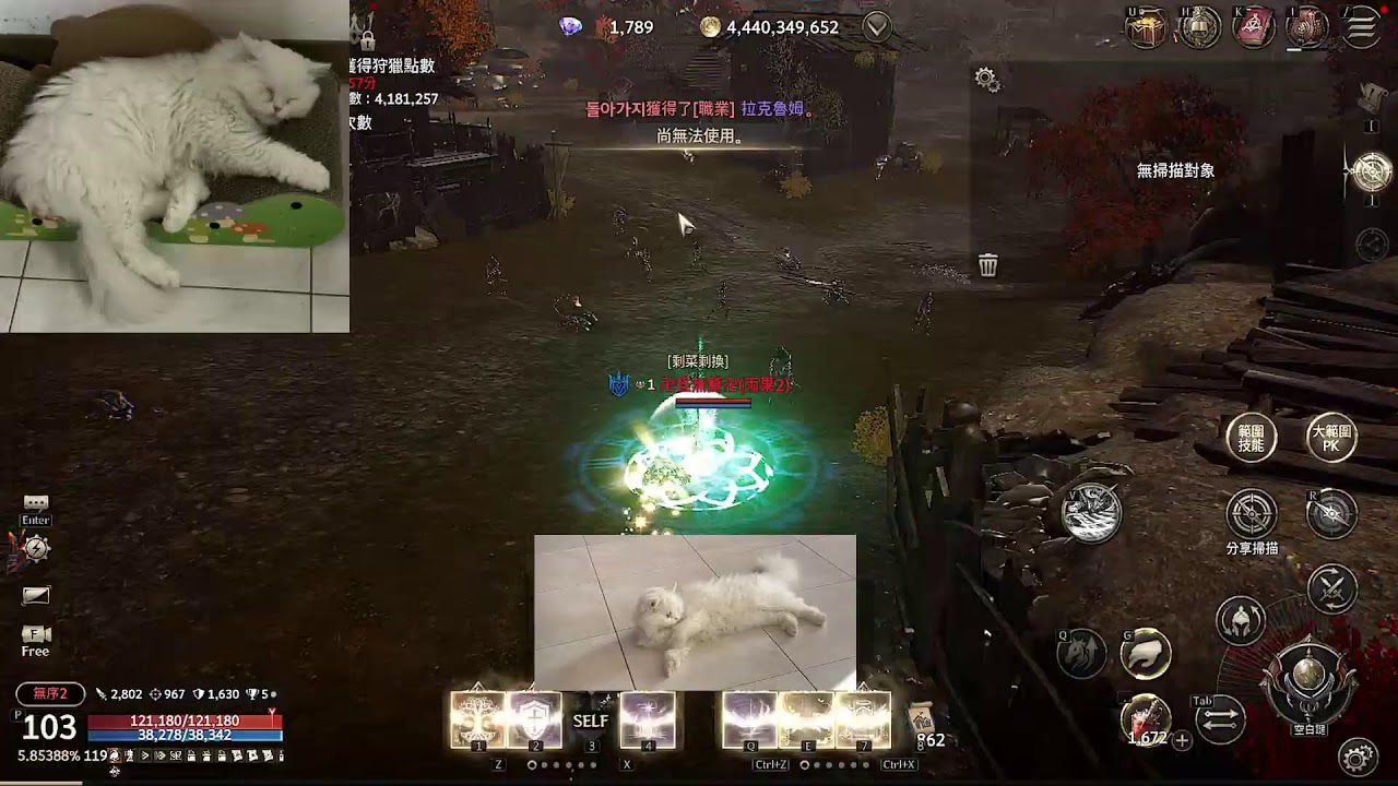 히트2 | C區聯賽一 變異體+三樓王! #hit2 #히트2