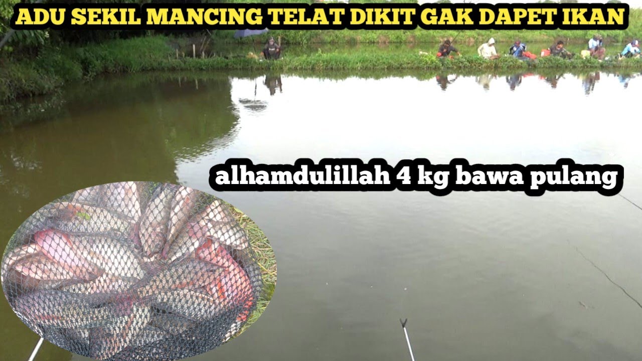 Alhamdulillah masih bisa bawa pulang ikan 4 kag kawan