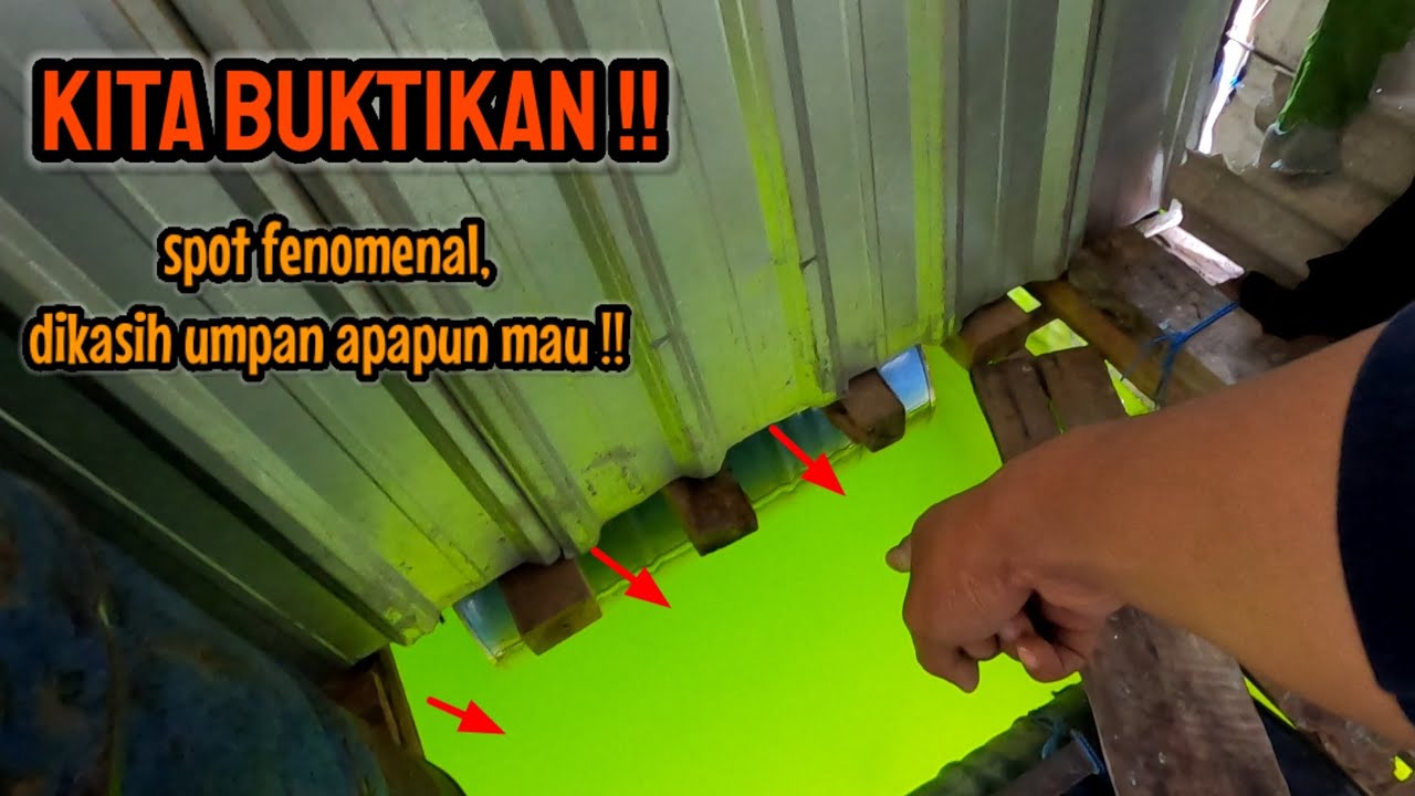 KITA BUKTIKAN ‼️ KATANYA IKAN DI SINI DIKASIH UMPAN APAPUN MAU || mancing ikan red devil NAHOL MANIA
