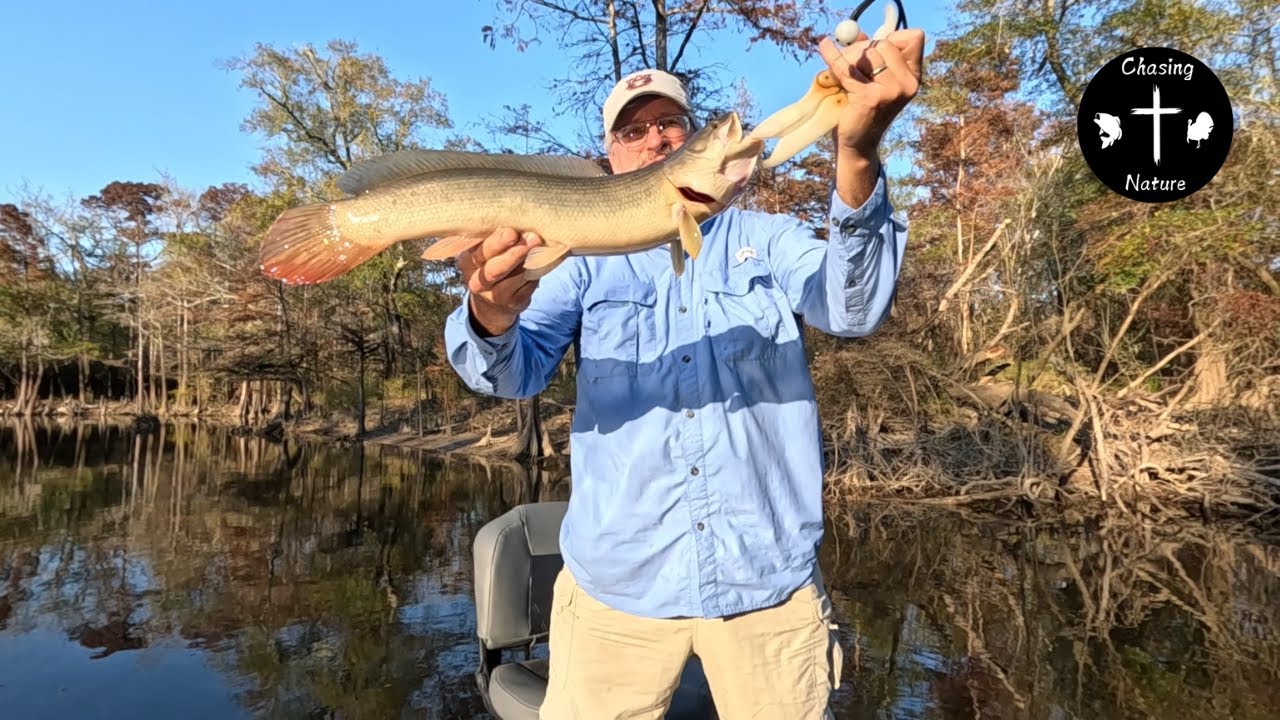 Catching South Alabama river monsters!!!