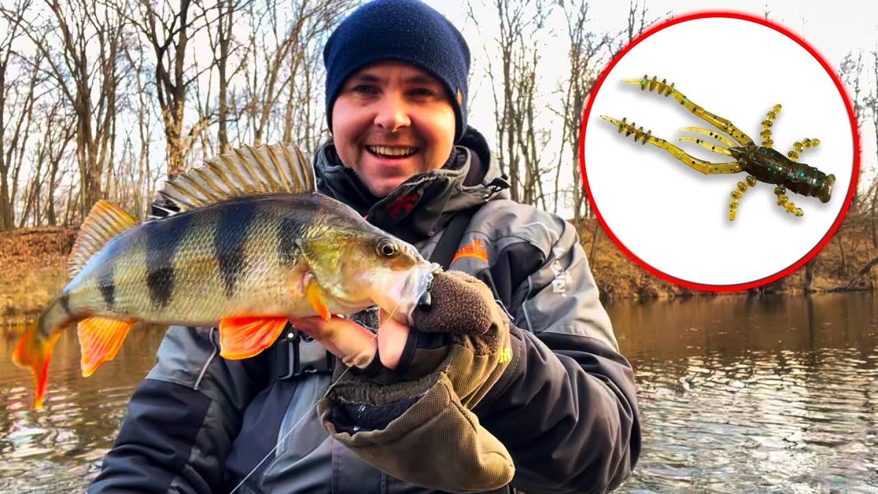 Ловля окуня на рака🦞Зимовий спінінг. Псел 2025-26