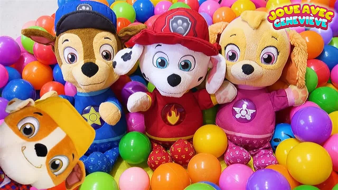 🔴Vidéo d’apprentissage amusante🔴 La Pat’ Patrouille seule à la maison et a une nouvelle maison