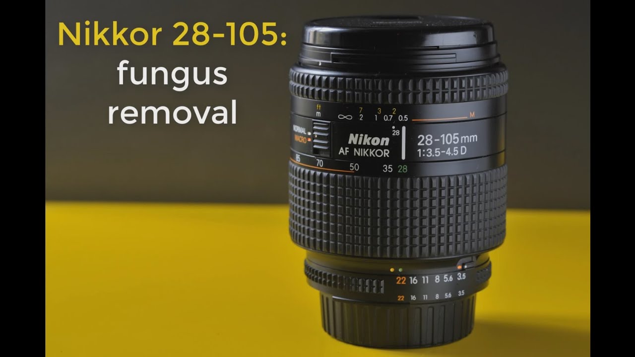 Fungus cleaning : Nikkor 28-105
